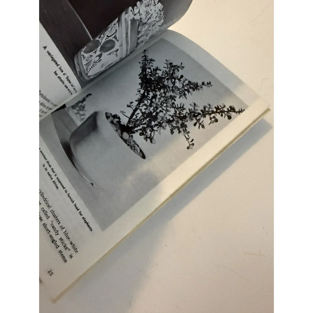 VTG 1970 CACTUS AND SUCCULENTS In Your Home by Robert Atkinson‎ Paperback Book